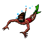 DIVER